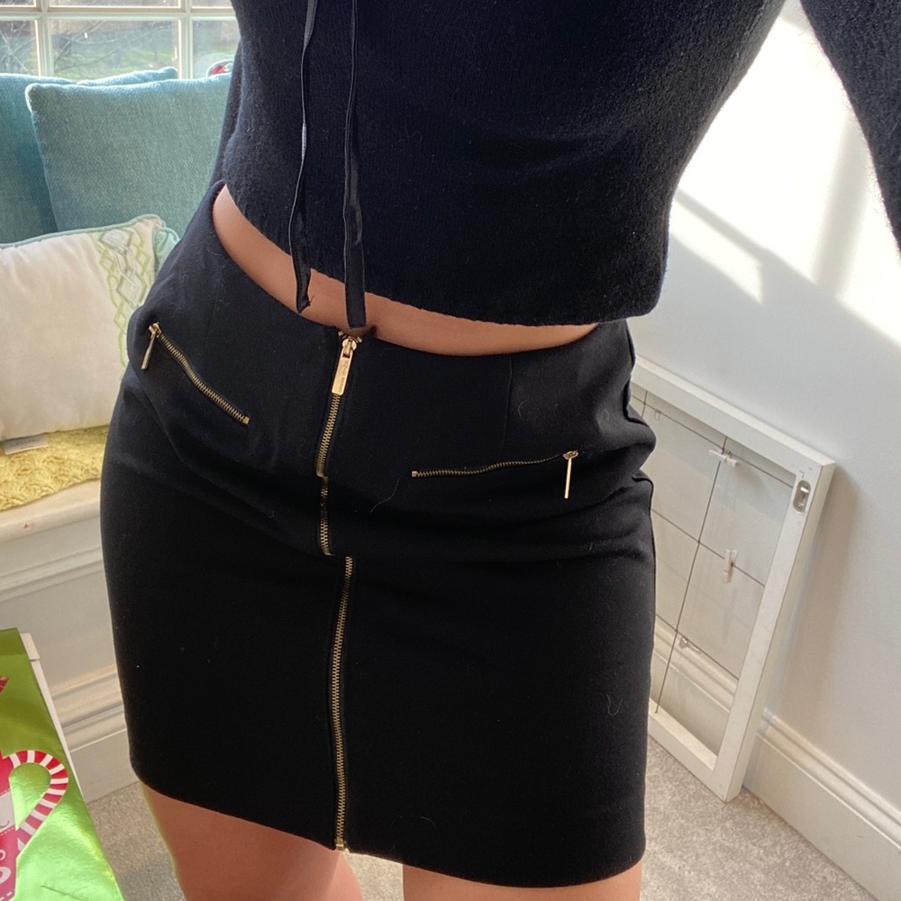 Adrianne vittadini skirt